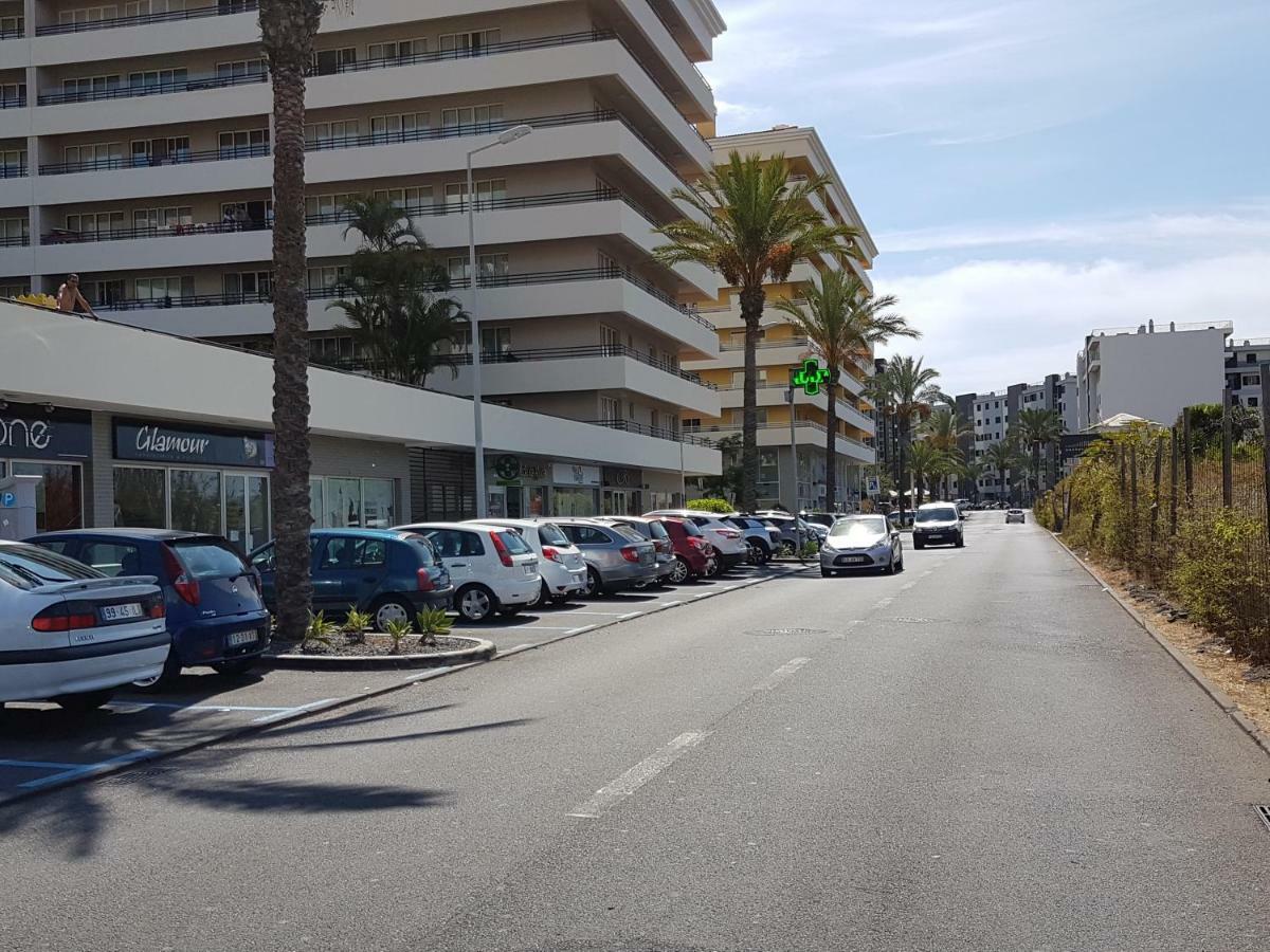 Tulipa View Apartament فونشال المظهر الخارجي الصورة